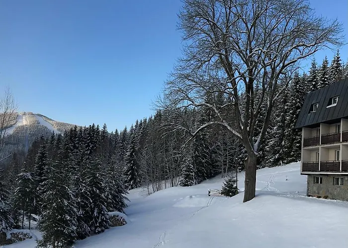 Horni Pramen מלון 2*