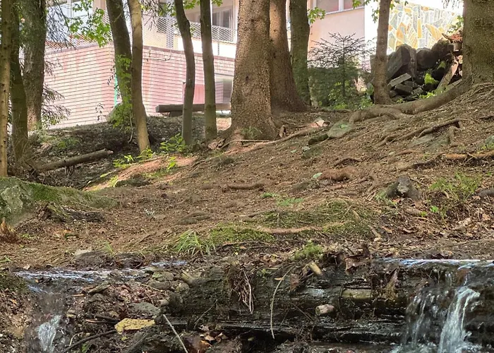 מלון Horni Pramen