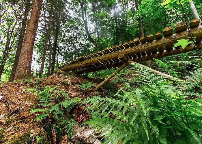 Horni Pramen מלון 2*